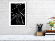 Load image into Gallery viewer, 4014613-937835
