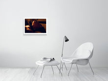 Laden Sie das Bild in den Galerie-Viewer, 4014773-937878
