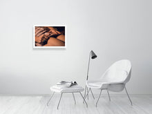 Laden Sie das Bild in den Galerie-Viewer, 4014766-937868

