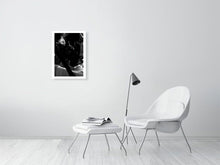 Load image into Gallery viewer, 4454891-1019797
