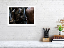 Load image into Gallery viewer, 4454896-1019786
