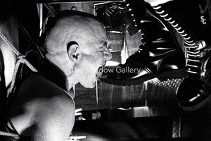 Skinhead Pleasure