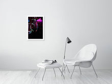 Load image into Gallery viewer, 4454883-1019795

