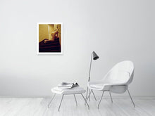 Laden Sie das Bild in den Galerie-Viewer, 4603277-1066016
