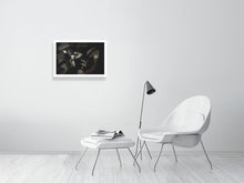 Load image into Gallery viewer, 4454872-1019805
