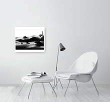 Load image into Gallery viewer, Dolphins
