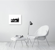 Load image into Gallery viewer, Dolphins
