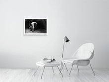 Laden Sie das Bild in den Galerie-Viewer, 4014673-937892
