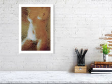 Laden Sie das Bild in den Galerie-Viewer, 4603251-1066048
