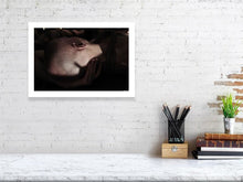Load image into Gallery viewer, 4014713-937899
