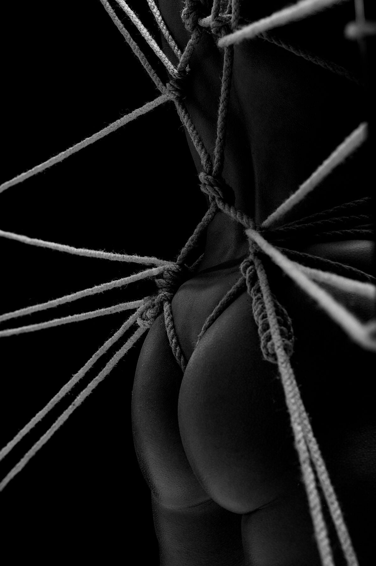 Behind the Spiderweb