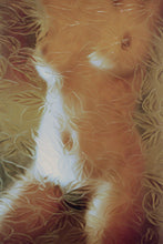 Laden Sie das Bild in den Galerie-Viewer, diffuse
