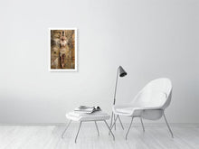 Charger l&#39;image dans la galerie, 4014706-937902
