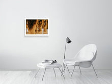 Laden Sie das Bild in den Galerie-Viewer, 4603247-1066053
