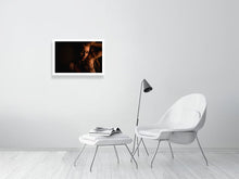Laden Sie das Bild in den Galerie-Viewer, 4014765-937866

