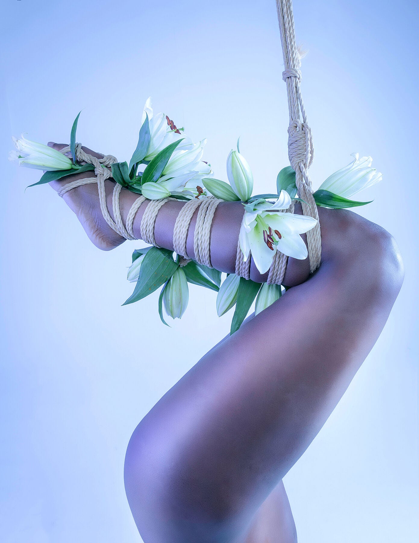 Lilies